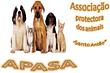 Associação Protectora dos Animais Santo Antão - APASA logótipo